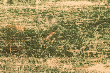 Similar image 13113666