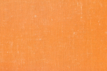 Similar image 13113667