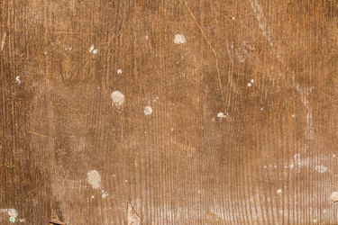 Similar image 13113668