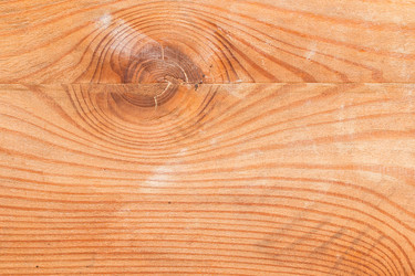 Similar image 13113671