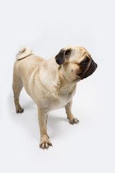 Similar image 13113672