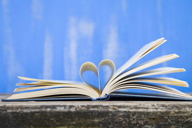 Similar image 13113684