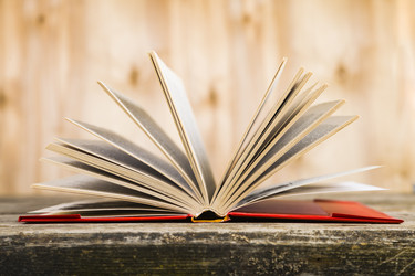 Similar image 13113689