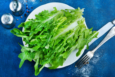 Similar image 13114582