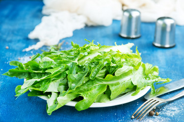 Similar image 13114583