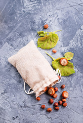 Similar image 13114780