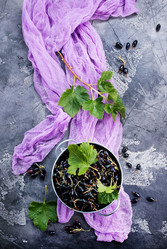 Similar image 13114875