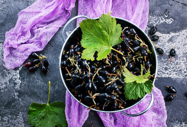 Similar image 13114876