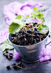 Similar image 13114879