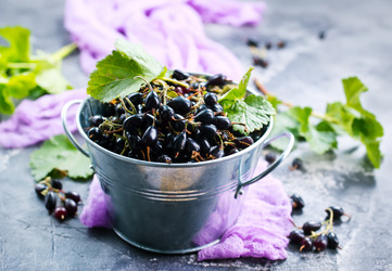 Similar image 13114880