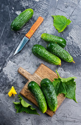 Similar image 13114695