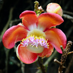 Similar image 13115490