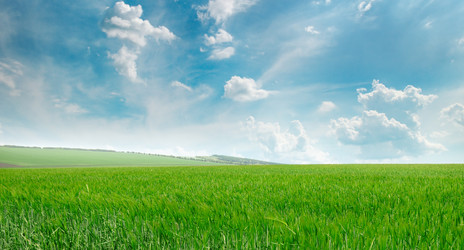 Similar image 13115512