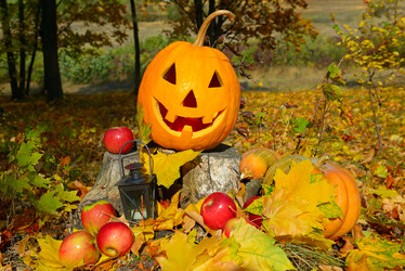 Similar image 13115515