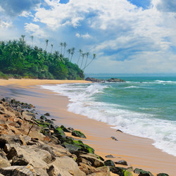 Similar image 13115519