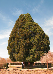 Similar image 13115168