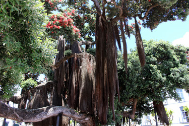 Similar image 13115067