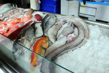 Similar image 13115068