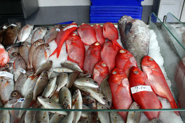 Similar image 13115070