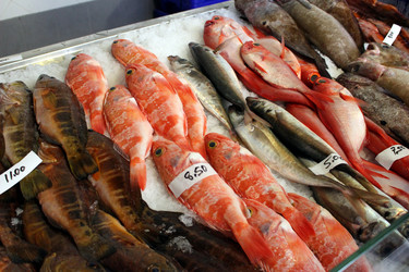 Similar image 13115071