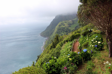 Similar image 13113439