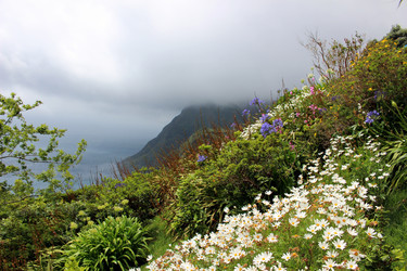 Similar image 13113440