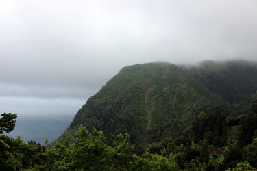 Similar image 13113442