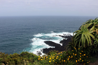 Similar image 13113444