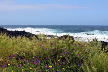 Similar image 13113446