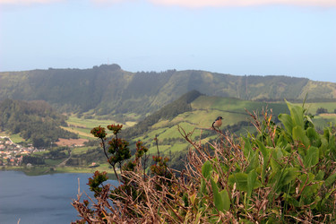 Similar image 13113447