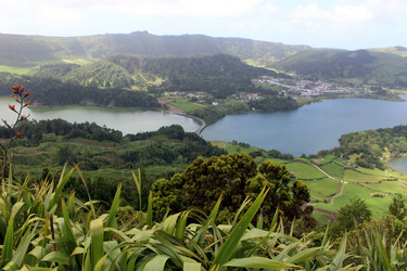 Similar image 13113449