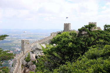 Similar image 13115088