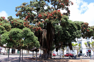 Similar image 13115091