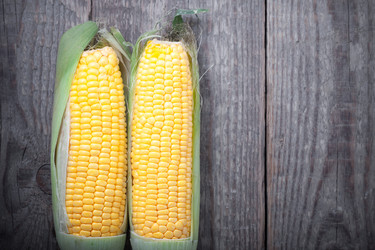 Similar image 13113511