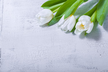 Similar image 13113516