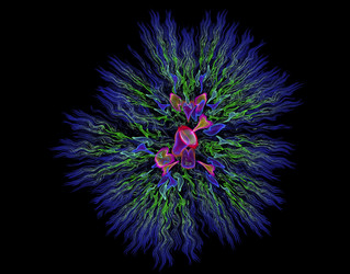 Similar image 13113868