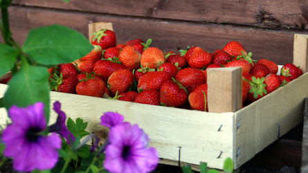 Similar image 13113849