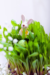 Similar image 13115145