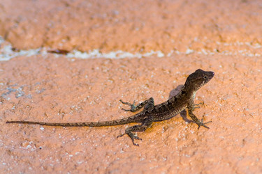 Similar image 13113877