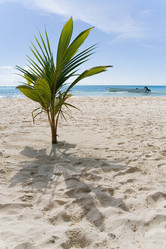 Similar image 13113878