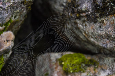 Similar image 13123228