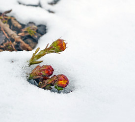 Similar image 13116008