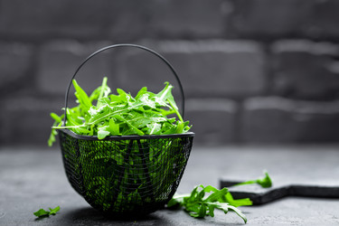 Similar image 13115594