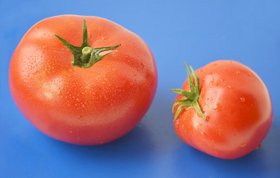 Similar image 13114178