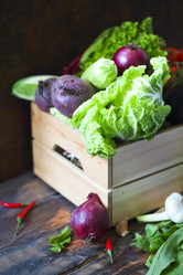 Similar image 13113531