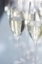 Similar image 13113538