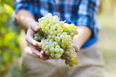 Similar image 13113554