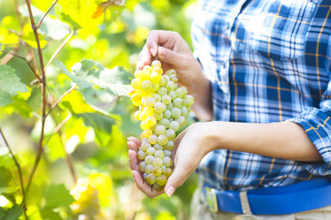 Similar image 13113557