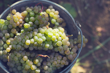 Similar image 13113577