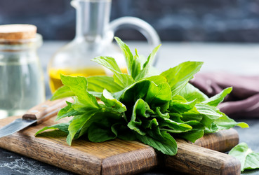 Similar image 13114927